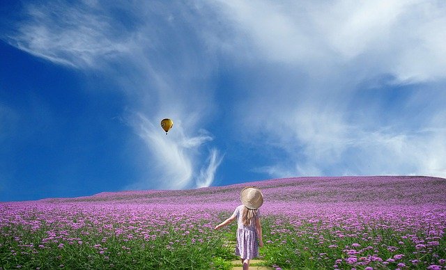 Free download Fantasy Summer Meadow free photo template to be edited with GIMP online image editor