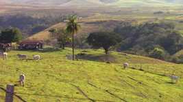 Free download Farm Bois Field -  free video to be edited with OpenShot online video editor