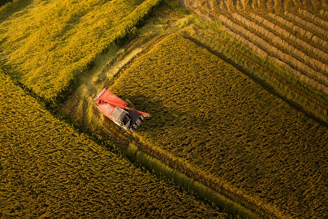 GIMP ücretsiz çevrimiçi resim düzenleyiciyle düzenlenecek ücretsiz indir çiftlik da nang tarım ücretsiz resmi