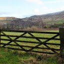 Farms and pastures  screen for extension Chrome web store in OffiDocs Chromium