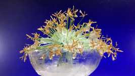 Free download Fast Camera Ice Frost -  free video to be edited with OpenShot online video editor