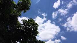 Free download Fast Camera White Clouds Tree free video to be edited with OpenShot online video editor