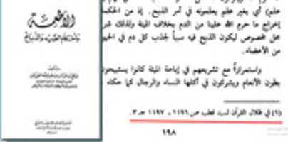 Free download fawzan-kotb free photo or picture to be edited with GIMP online image editor