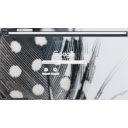 feather  screen for extension Chrome web store in OffiDocs Chromium