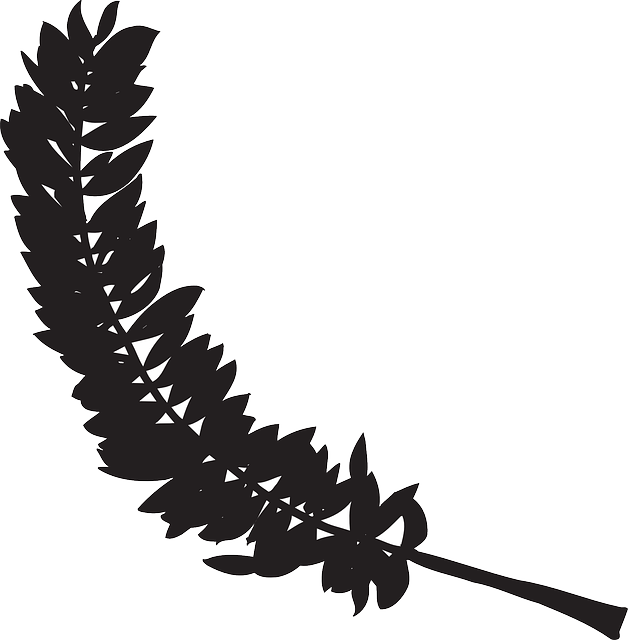 Free download Feather Black Bird - Free vector graphic on Pixabay free illustration to be edited with GIMP free online image editor