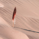 Feathers on the sand  screen for extension Chrome web store in OffiDocs Chromium