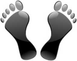 Free download feet free photo or picture to be edited with GIMP online image editor