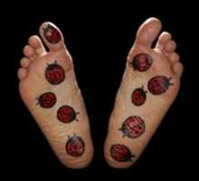 Free download Feet - Ladybug free photo or picture to be edited with GIMP online image editor