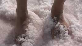 Free download Feet Salt Marshes -  free video to be edited with OpenShot online video editor