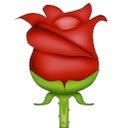 Feminazi a flor מסך להרחבה Chrome web store ב-OffiDocs Chromium