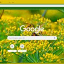 Fennel Flower  screen for extension Chrome web store in OffiDocs Chromium