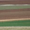 Fertile Field  screen for extension Chrome web store in OffiDocs Chromium
