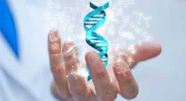 Free download Fertility Yoga, Nutrition And Wellness free photo or picture to be edited with GIMP online image editor