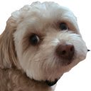 fflogs to xivanalysis  screen for extension Chrome web store in OffiDocs Chromium