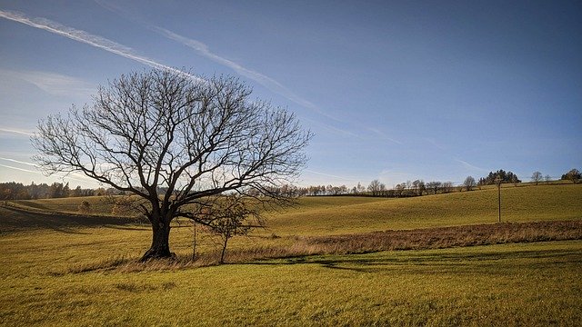 הורדה חינם של שדה דשא כפרי יער תמונה בחינם לעריכה עם עורך תמונות מקוון בחינם של GIMP