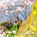 Field of Flowers and Photography  screen for extension Chrome web store in OffiDocs Chromium