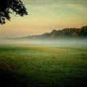 Field of grass and bones  screen for extension Chrome web store in OffiDocs Chromium