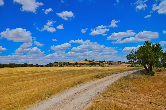 Descarga gratuita campo camino paisaje naturaleza imagen gratis para editar con GIMP editor de imágenes en línea gratuito