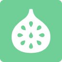 FIG  screen for extension Chrome web store in OffiDocs Chromium