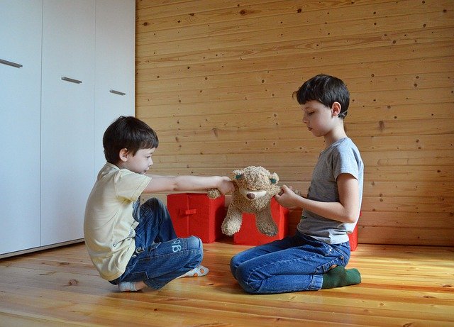 Free download fight do not share a toy free picture to be edited with GIMP free online image editor