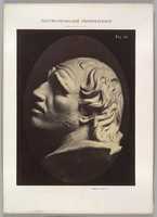 Free download Figure 66: Head of Arrotino (the spy, the knife grinder, and so on) free photo or picture to be edited with GIMP online image editor
