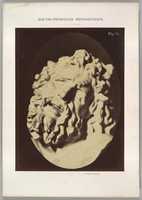 Free download Figure 71: Same head as in Plate 70 free photo or picture to be edited with GIMP online image editor