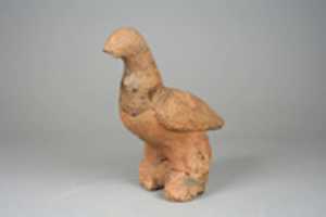 Free download Figure: Bird free photo or picture to be edited with GIMP online image editor