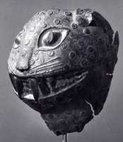 Free download Figure Fragment: Leopard Head free photo or picture to be edited with GIMP online image editor