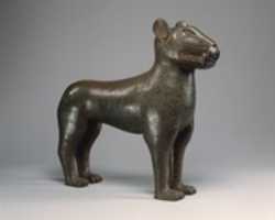 Free download Figure: Leopard free photo or picture to be edited with GIMP online image editor
