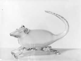 Free download Figure of a Rat free photo or picture to be edited with GIMP online image editor
