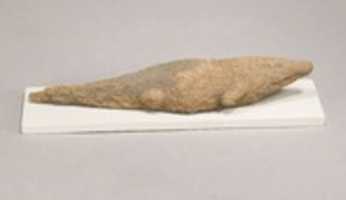 Free download Figure of crocodile free photo or picture to be edited with GIMP online image editor