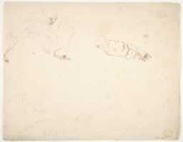 Free download Figures in Battle and Head of a Horse (recto); Studies of a Mans Head and Arms (verso) free photo or picture to be edited with GIMP online image editor