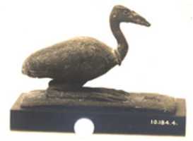 Free download Figurine of Ibis free photo or picture to be edited with GIMP online image editor