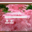 Filipendula  screen for extension Chrome web store in OffiDocs Chromium