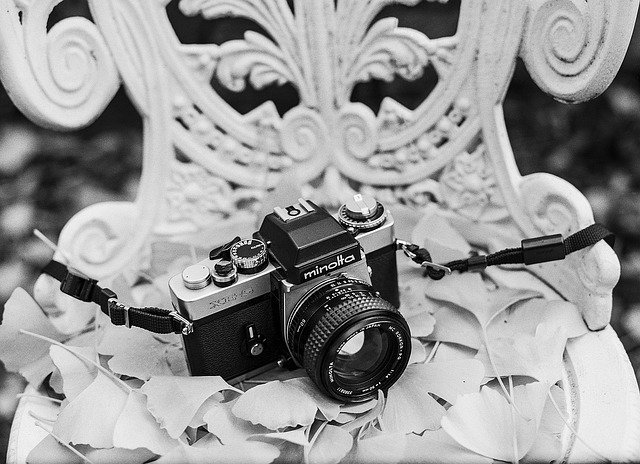 Free download film camera camera vintage film free picture to be edited with GIMP free online image editor