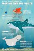 Free download Finding Dory Marine Life Interviews 2016 free photo or picture to be edited with GIMP online image editor