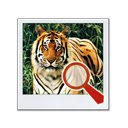 Pantalla Find It Animal para extensión Chrome web store en OffiDocs Chromium