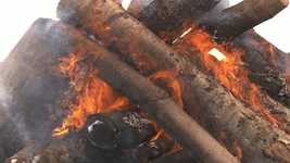 Free download Fire Campfire Bonfire -  free video to be edited with OpenShot online video editor