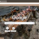 Firefly  screen for extension Chrome web store in OffiDocs Chromium