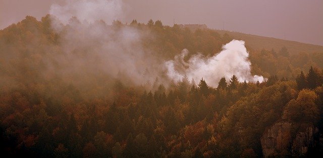 Baixe gratuitamente imagem gratuita de névoa de outono de floresta de fogo para ser editada com o editor de imagens on-line gratuito do GIMP