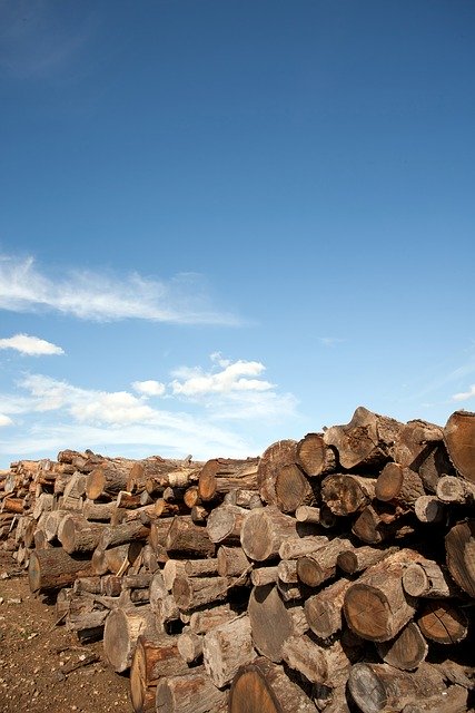 Free download firewood wood pile of firewood free picture to be edited with GIMP free online image editor