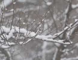Unduh gratis foto atau gambar First Snow gratis untuk diedit dengan editor gambar online GIMP