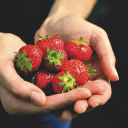 First strawberries of the season  screen for extension Chrome web store in OffiDocs Chromium