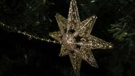 Free download Fir Tree Christmas Star free video to be edited with OpenShot online video editor