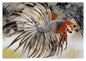 Free download Fish 2 free photo or picture to be edited with GIMP online image editor