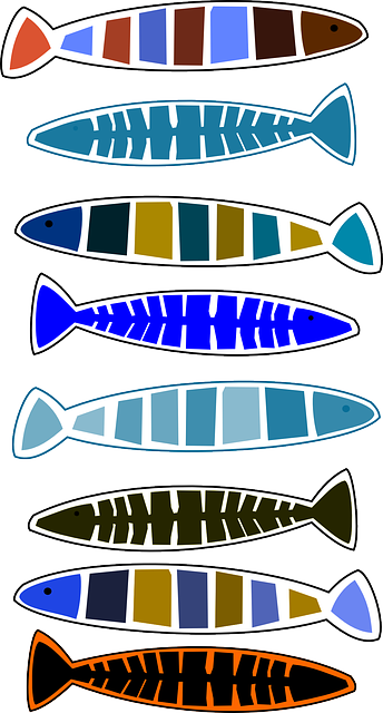 Free download Fish Animals - Free vector graphic on Pixabay free illustration to be edited with GIMP free online image editor