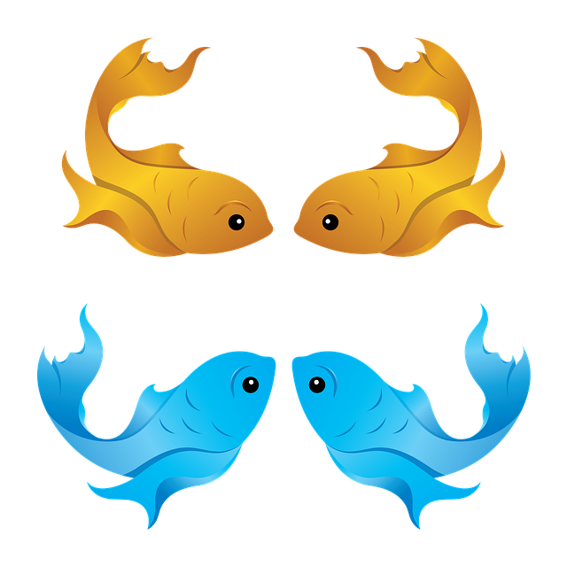 Free download Fish Aqua Water -  free illustration to be edited with GIMP free online image editor