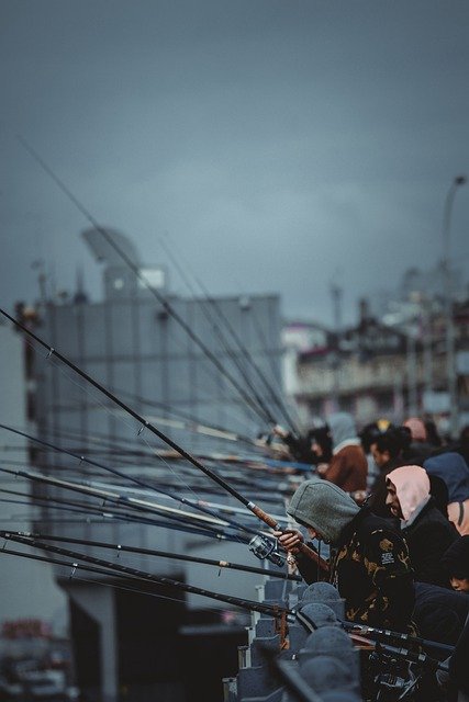 دانلود رایگان عکس ماهیگیران ماهیگیری چوب ماهیگیری رایگان برای ویرایش با ویرایشگر تصویر آنلاین رایگان GIMP