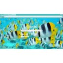 Fishes  screen for extension Chrome web store in OffiDocs Chromium