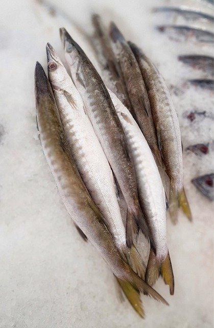 Free download fish ice seafood market bazaar free picture to be edited with GIMP free online image editor